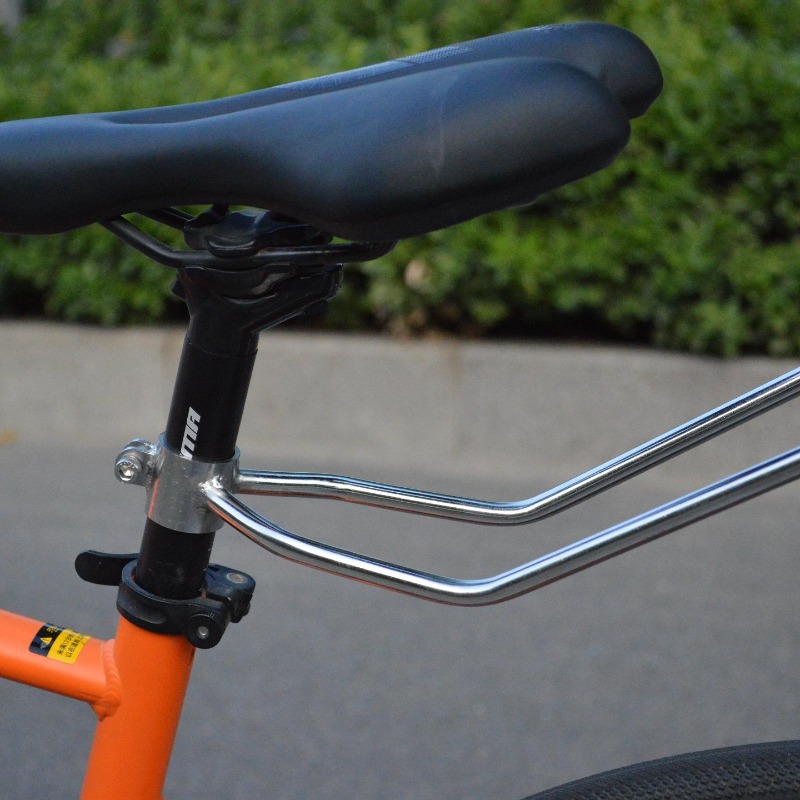 Portaequipajes Trasero para Bi - Bike Cargo Rack reseña y precio